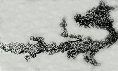 焦敦遗址河卵石巨龙 .jpeg